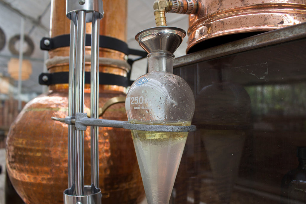 Essential oil distillation at Los Poblanos