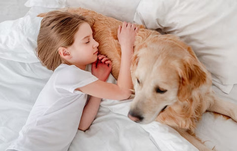 niña durmiendo con su mascota
