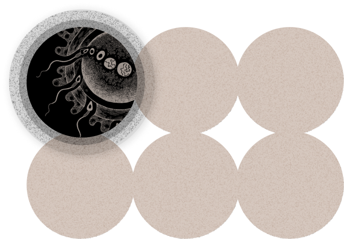 6 circles with 1 highlighted