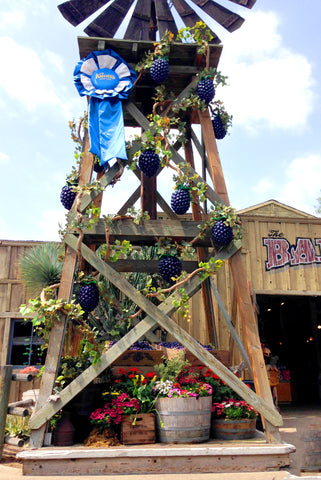 Knott's Berry Farm Custom Giant Boysenberry Decorations