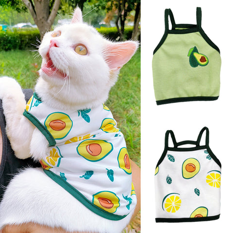 Cat Retrieve After Surgery Clothing Anti Cat Licking Wound - PeticaDeals