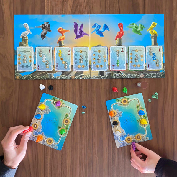 Pelican Cove by SimplyFun is a fun algebra game focusing on spatial reasoning and quick thinking for ages 8 and up.