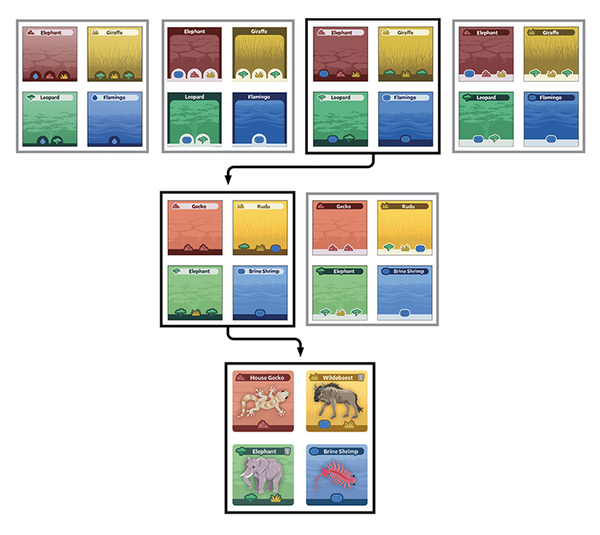 Development of card design for SimplyFun’s SavannaScapes board game