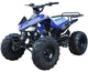 What are the top 110cc ATVs available on the market?