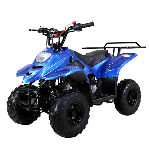 How does the Tao Tao 110 ATV perform in different terrains?