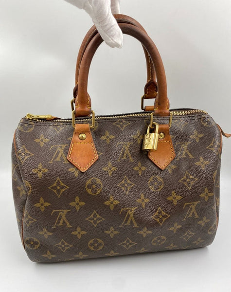 Louis Vuitton Speedy: A Century's Most Coveted Handbag