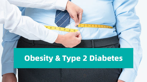 The Connection Between Obesity and Type 2 Diabetes