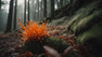 PhotoReal_healthy_breath_of_fresh_air_in_nature_cordyceps_mush_0.jpg.webp__PID:d6814226-c17f-4e39-b6bc-20005af577cd