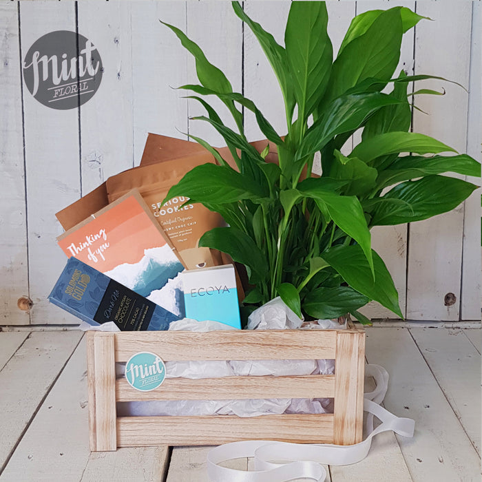 Thinking of You Gift Crate With Greeting Card — Mint