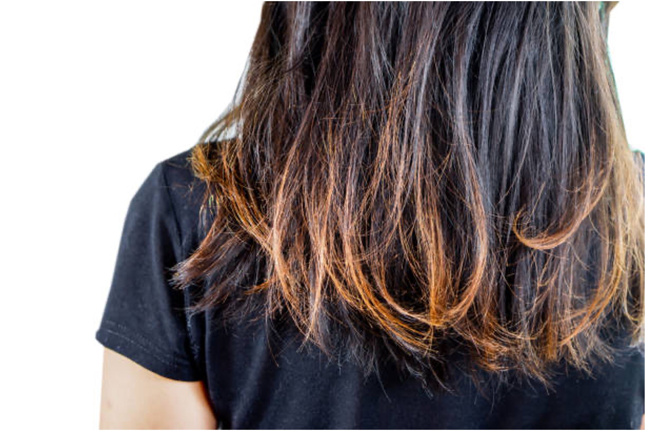 Hair Growth Shampoo+Conditioner BOGO Set Image of a fading colored hair.jpg__PID:c15dccef-c026-443d-9c72-a21ec015b26a