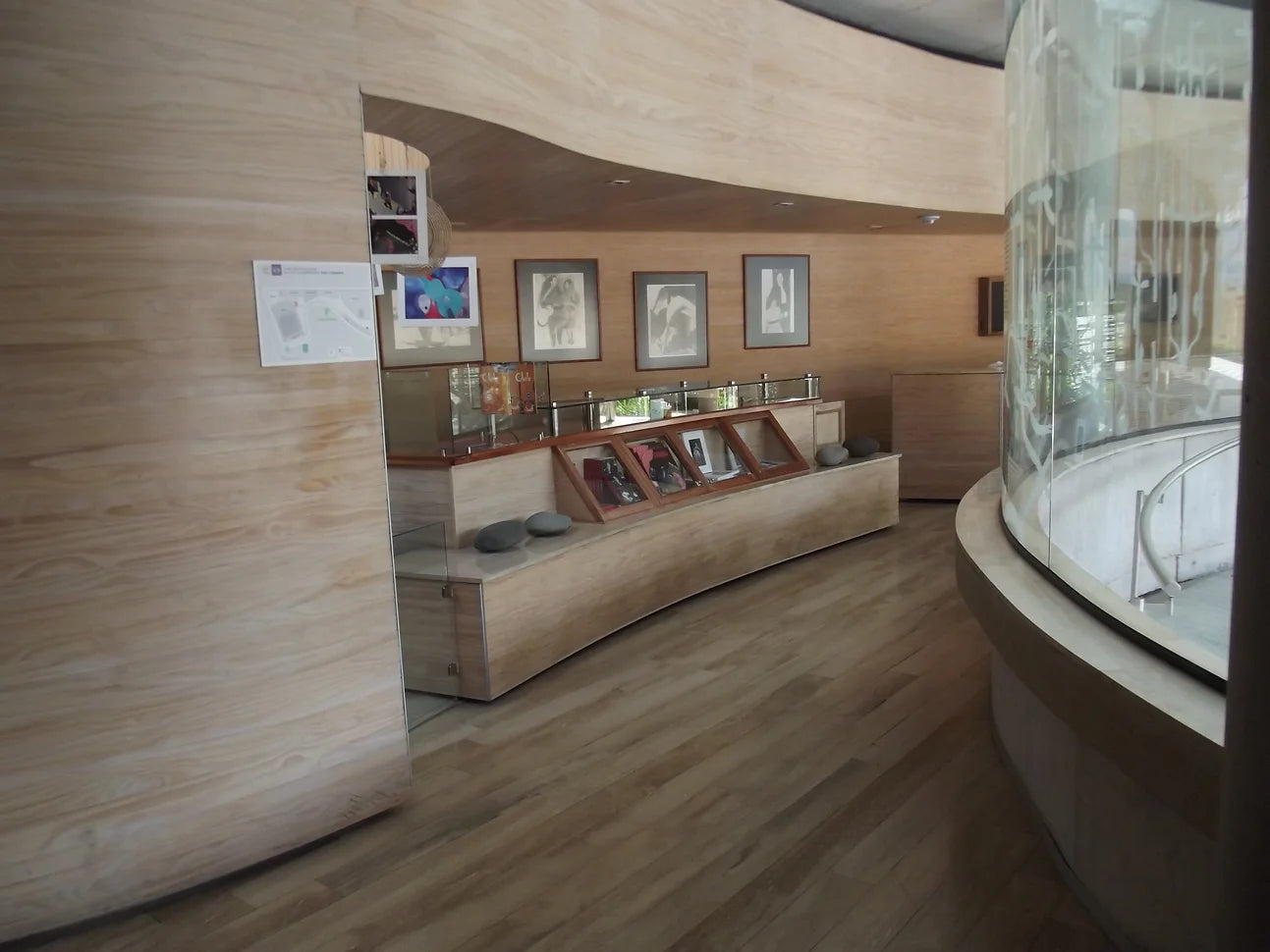 Museo Violeta P