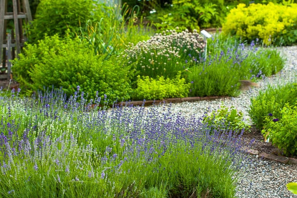 A well planted sensory garden appeals to all our senses