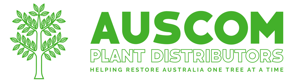 Auscom Plant Distributors