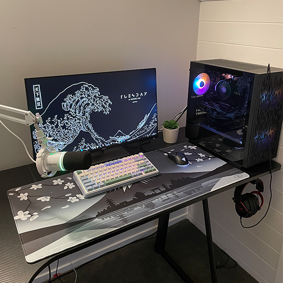 TrinxTech_VisionPadz_Setup_Photo