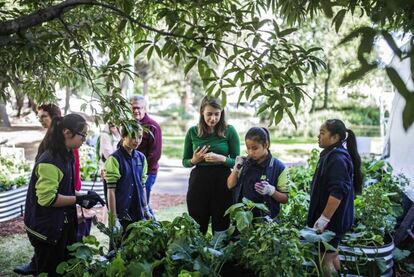 Children gardening at school with foodcube