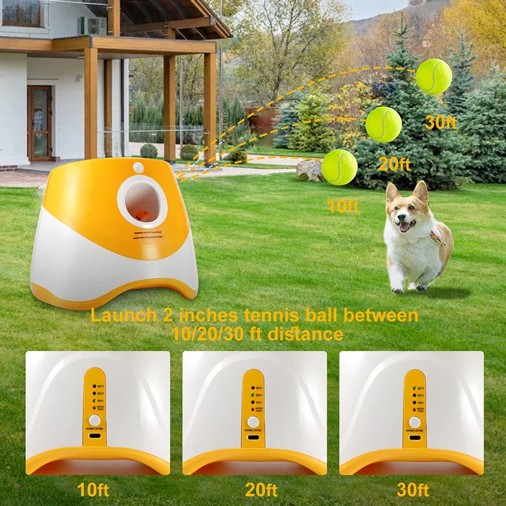 Automatic Catapult Tennis Ball Thrower for Dog Training