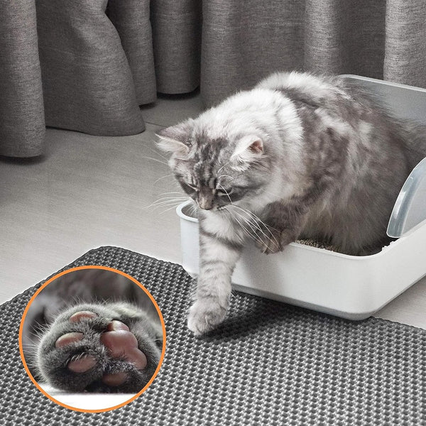 Gray cat stepping out of a white litter box onto The Stuff Box Waterproof Cat Litter Mat, featuring a cat-friendly, double-layer design. Inset image focuses on the cat's paw with visible toe beans. Gray curtains in the background.