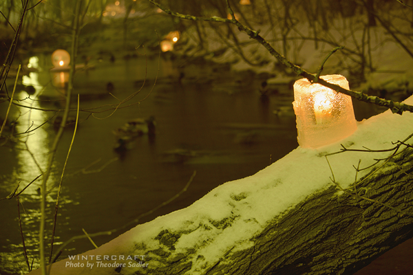 Mary Arneson's ice lantern on tree over creek 2018 Middlemoon Creekwalk photo by Theodore Sadler 