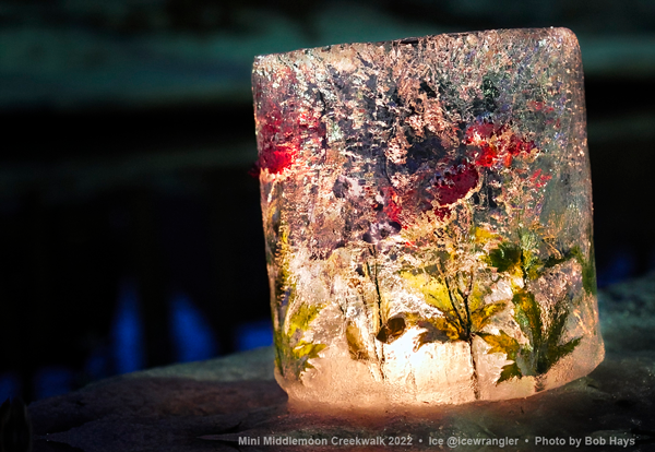 Colorful floral ice lantern in the true dark of night  photo by bob hays