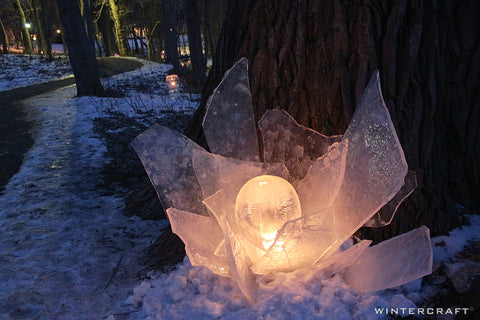 Ice Rose using ice glass and teardrop ice lantern