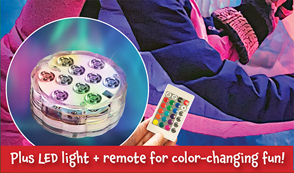 LED light with 16-color remote
