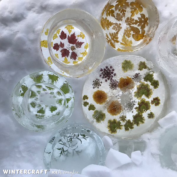 Mini Floral Ice Disc Wall for opening night of 2020 MN Landscape Arboretum's Winter Lights event