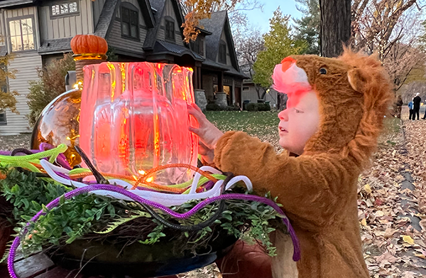 Not-so-Cowardly Lion loved the LED light in the ice lantern made with the reusable and inflatable Fluted Ice Luminary Mold.