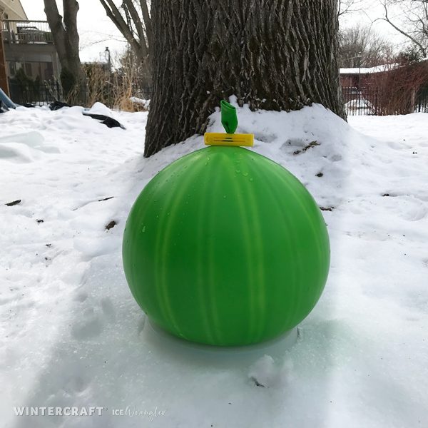 Wintercraft globe ice lantern balloon in front of tree