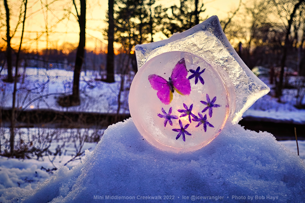 Butterfly Porthole by The Ice Wrangler Photo by Bob Hays