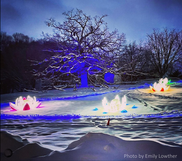 Photo of the 2020 MN Landscape Arboretum's Winter Lights event by Emily Lowther