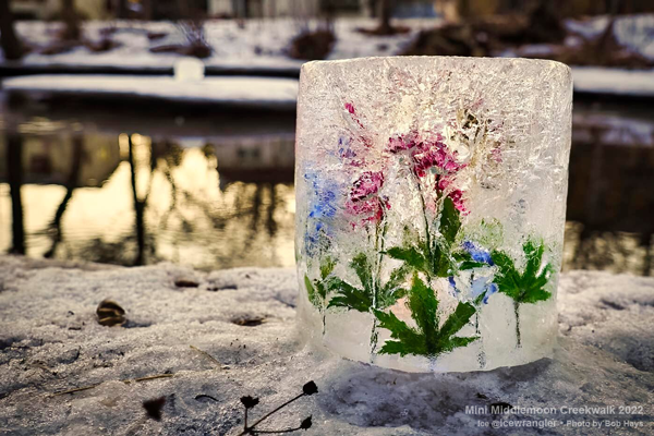 sunlit floral ice lantern photo by bob hays