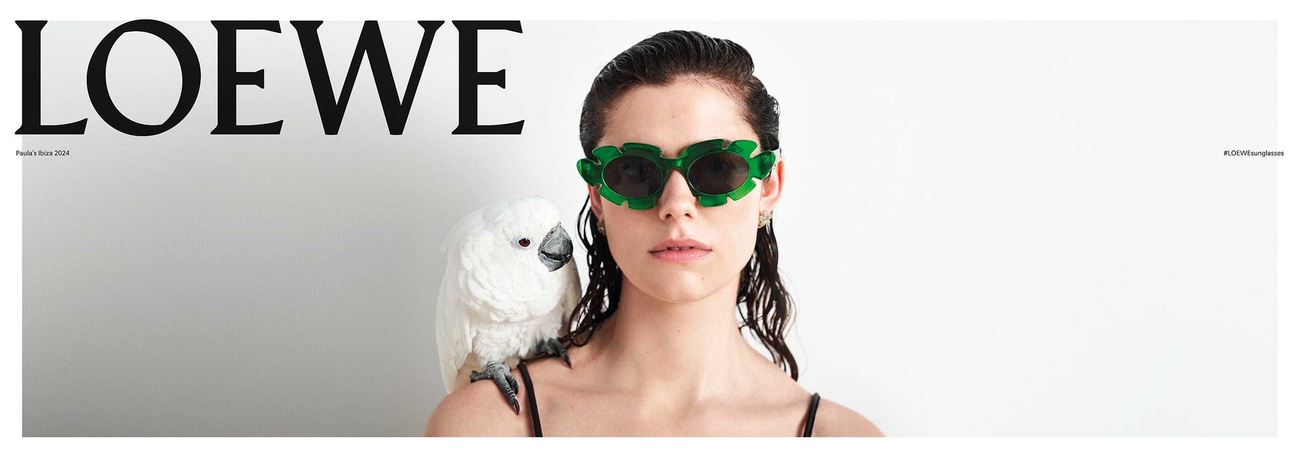 loewe glasses