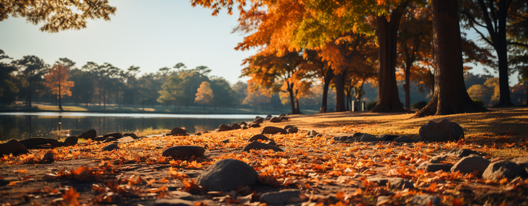 Fall Cleanup