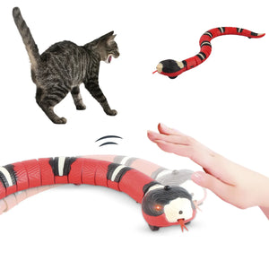 Smart Eletronic Snake Toys - Rabyea