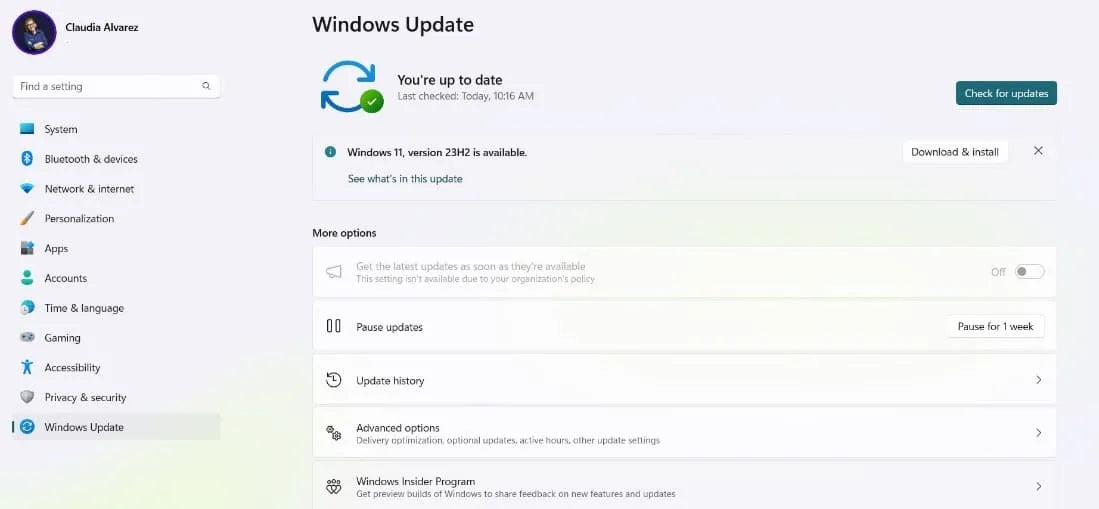 Windows no actualizado