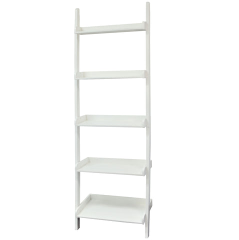 White Leaning Ladder – Ezekiel and Stearns