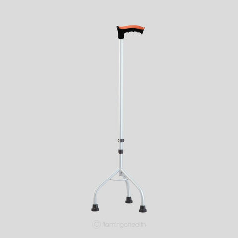 Walking stick – Flamingo Health