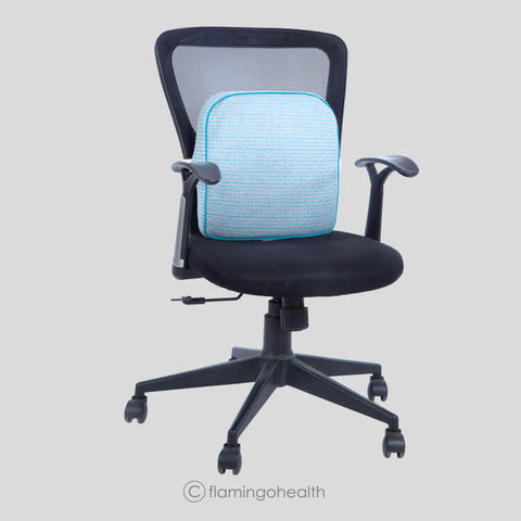 Back Rest (Large) – Flamingo Health