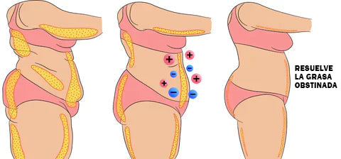 Faja Reductora FIR Ion® –