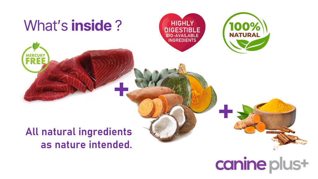 Whats inside canine plus+ raw ingredients.