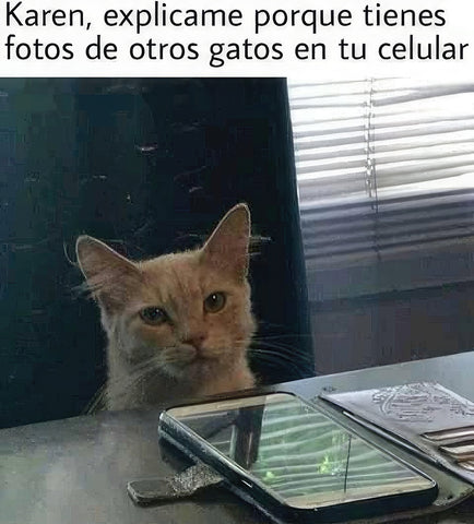 meme gato y karen