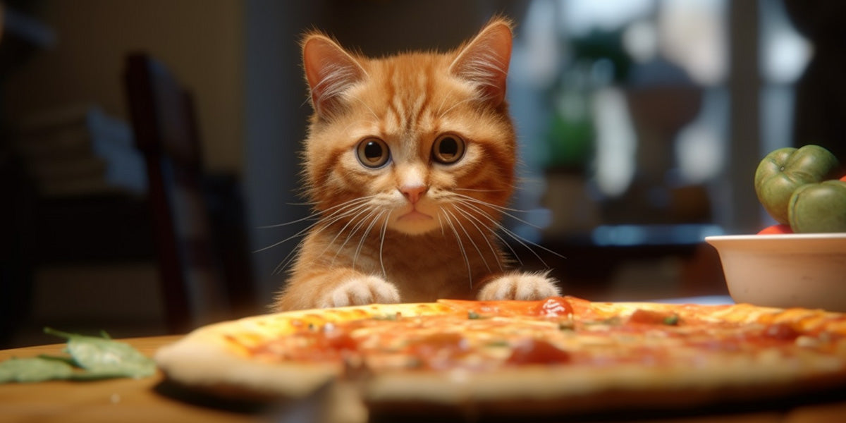 un gato mirando una pizza sobre la mesa