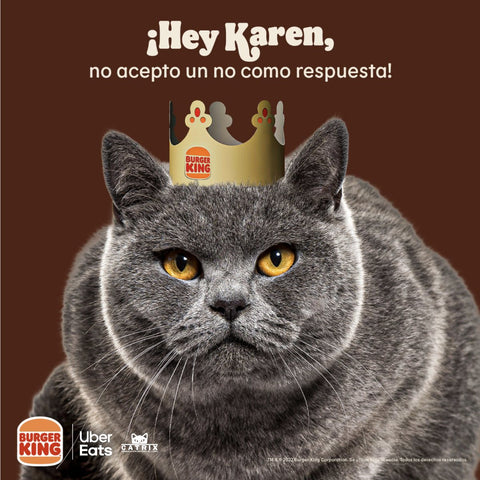 marketing meme de gato
