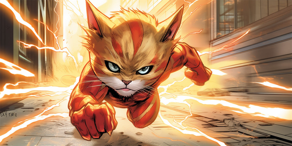 gatito flash DC comics