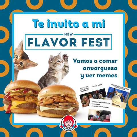 marketing meme de gato