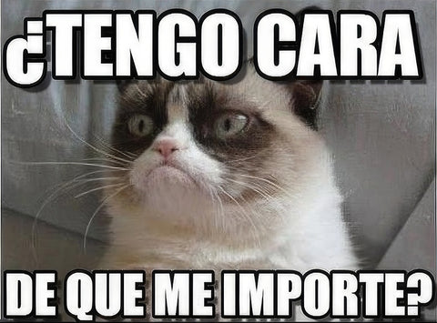 meme grumpy cat español