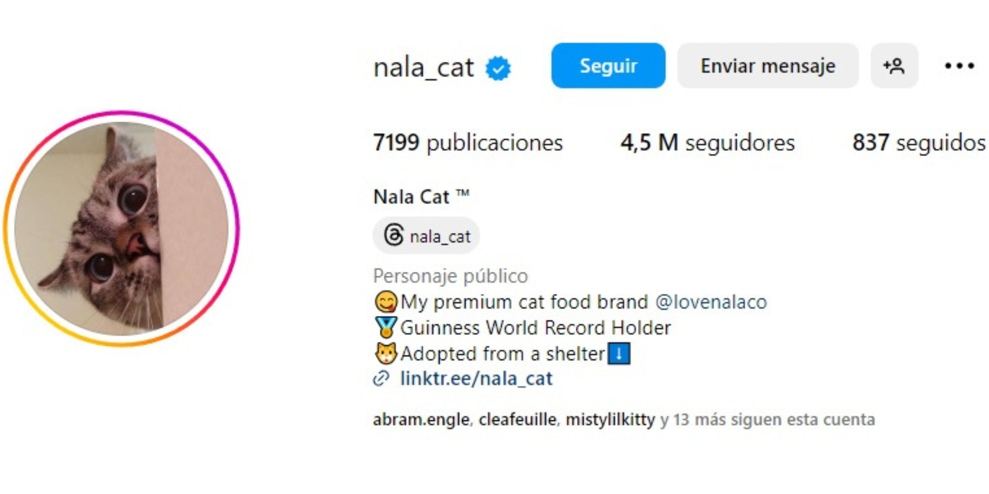 nala la famosa gata