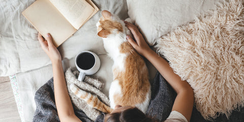 un gato leyendo un libro con su humana