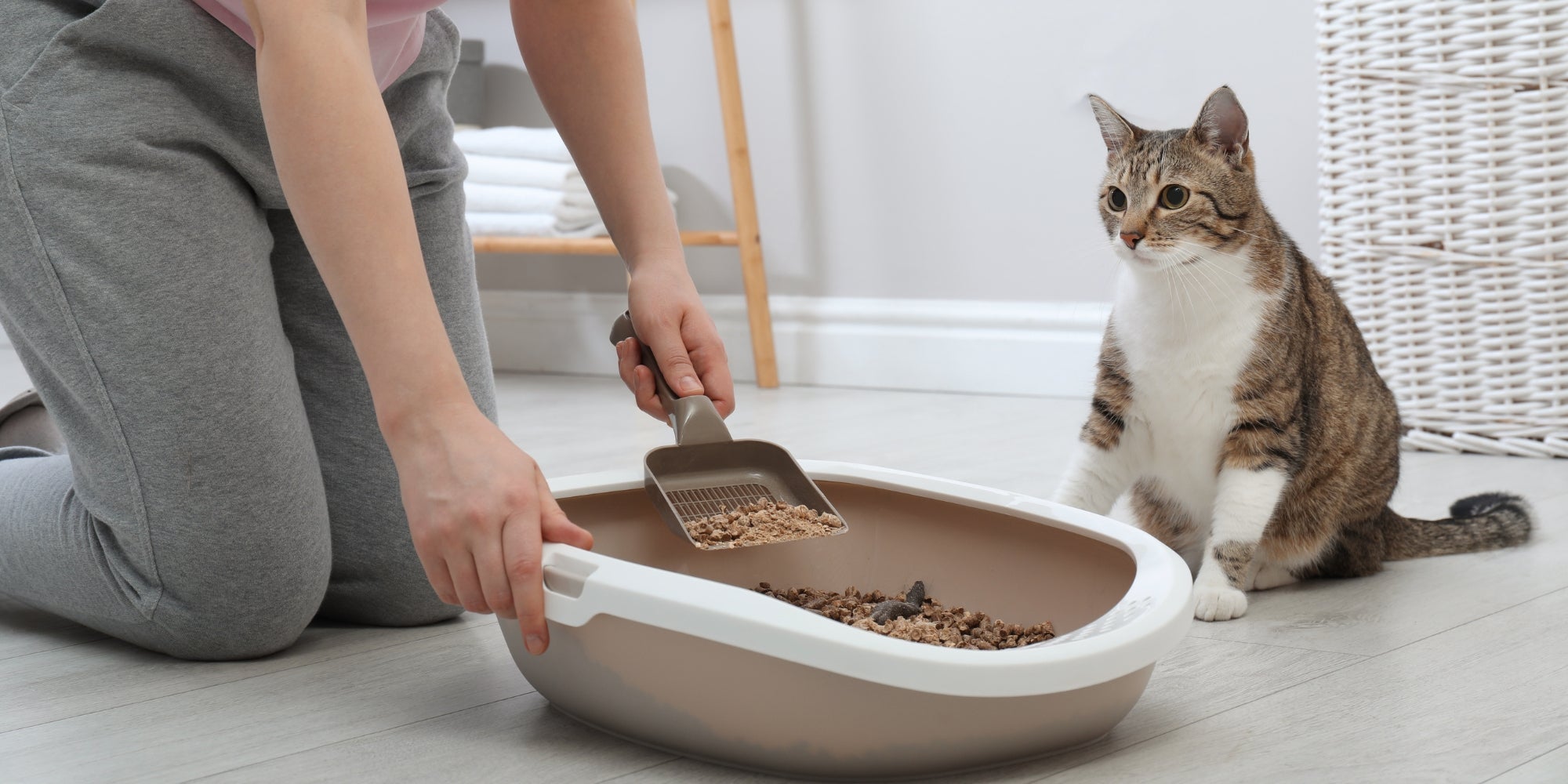 un hombre limpiando la caja de arena de su gato