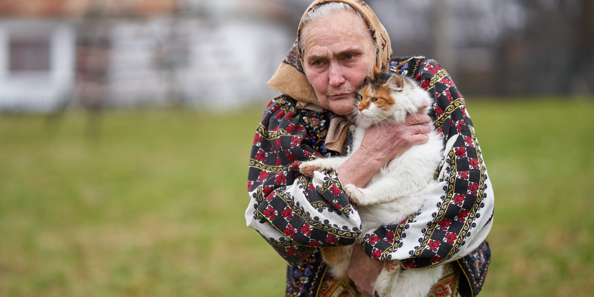 un gato mayor y una señora mayor